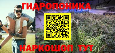 спайс Обь